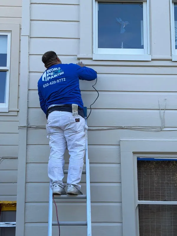 Why Choose World Pro Painting