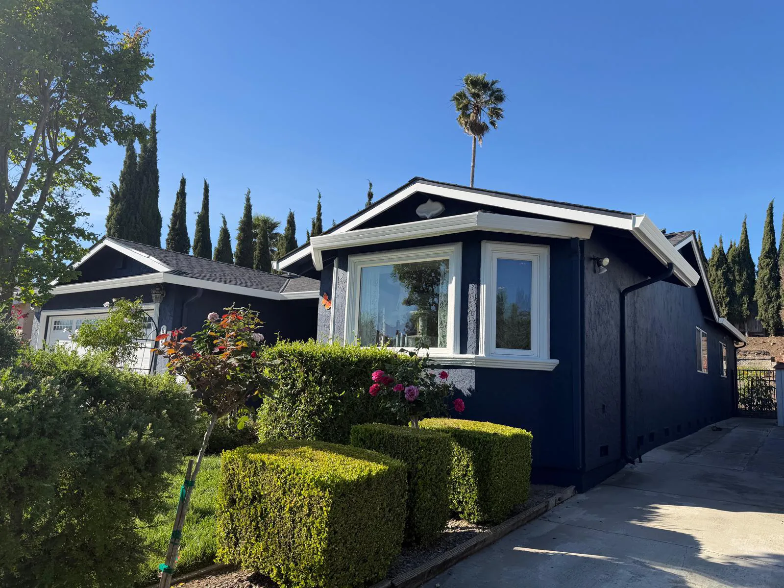 Painting Service Projects